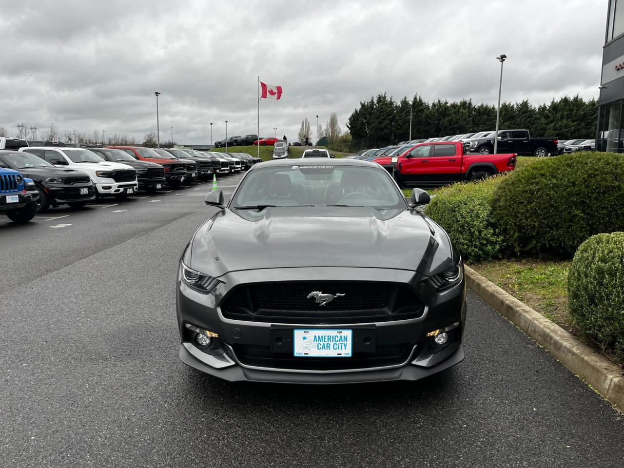 FORD MUSTANG GT FASTBACK V8 5.0L