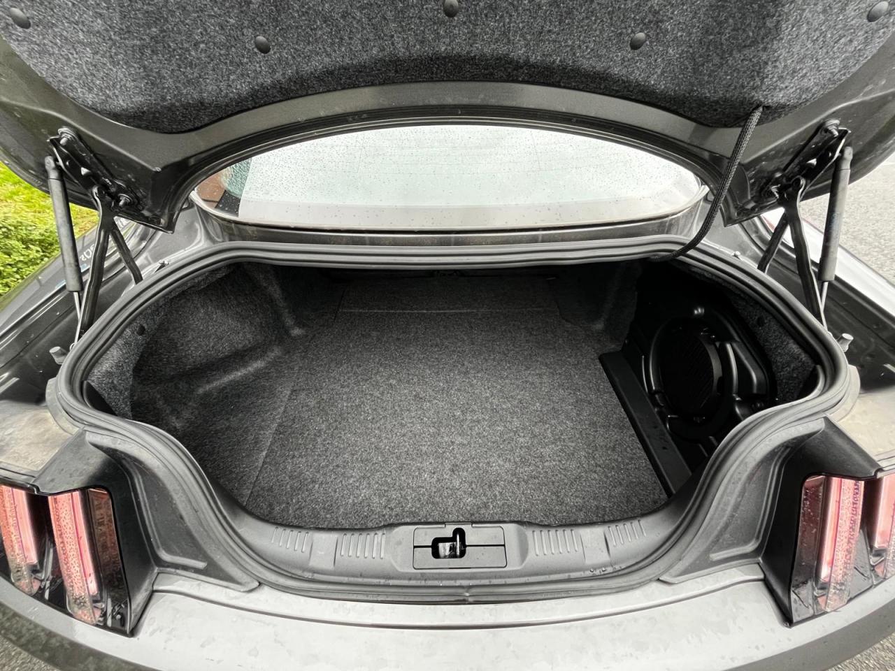 FORD MUSTANG GT FASTBACK V8 5.0L