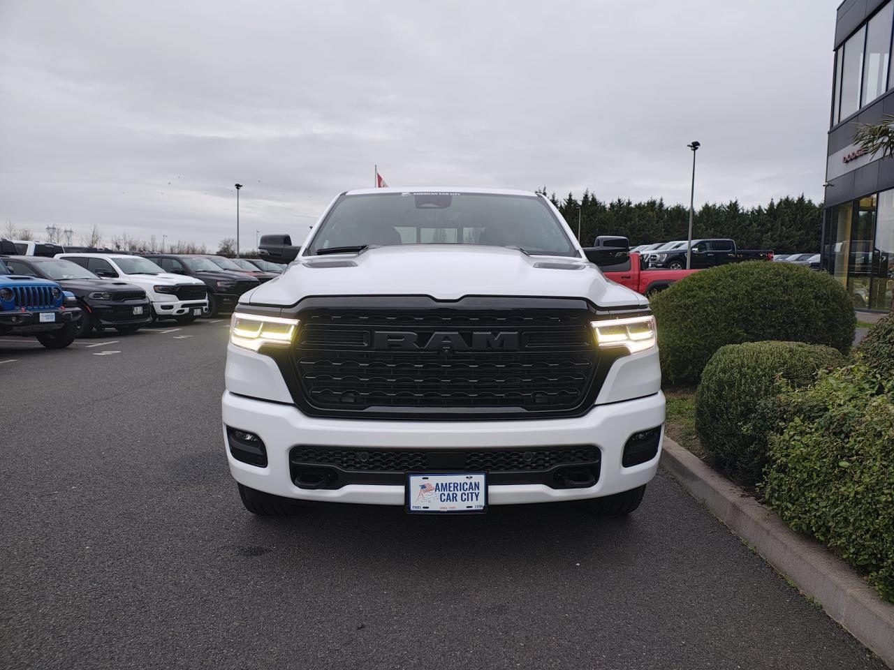 DODGE RAM 1500 CREW LIMITED NIGHT EDITION RAMBOX HAYON MULTI