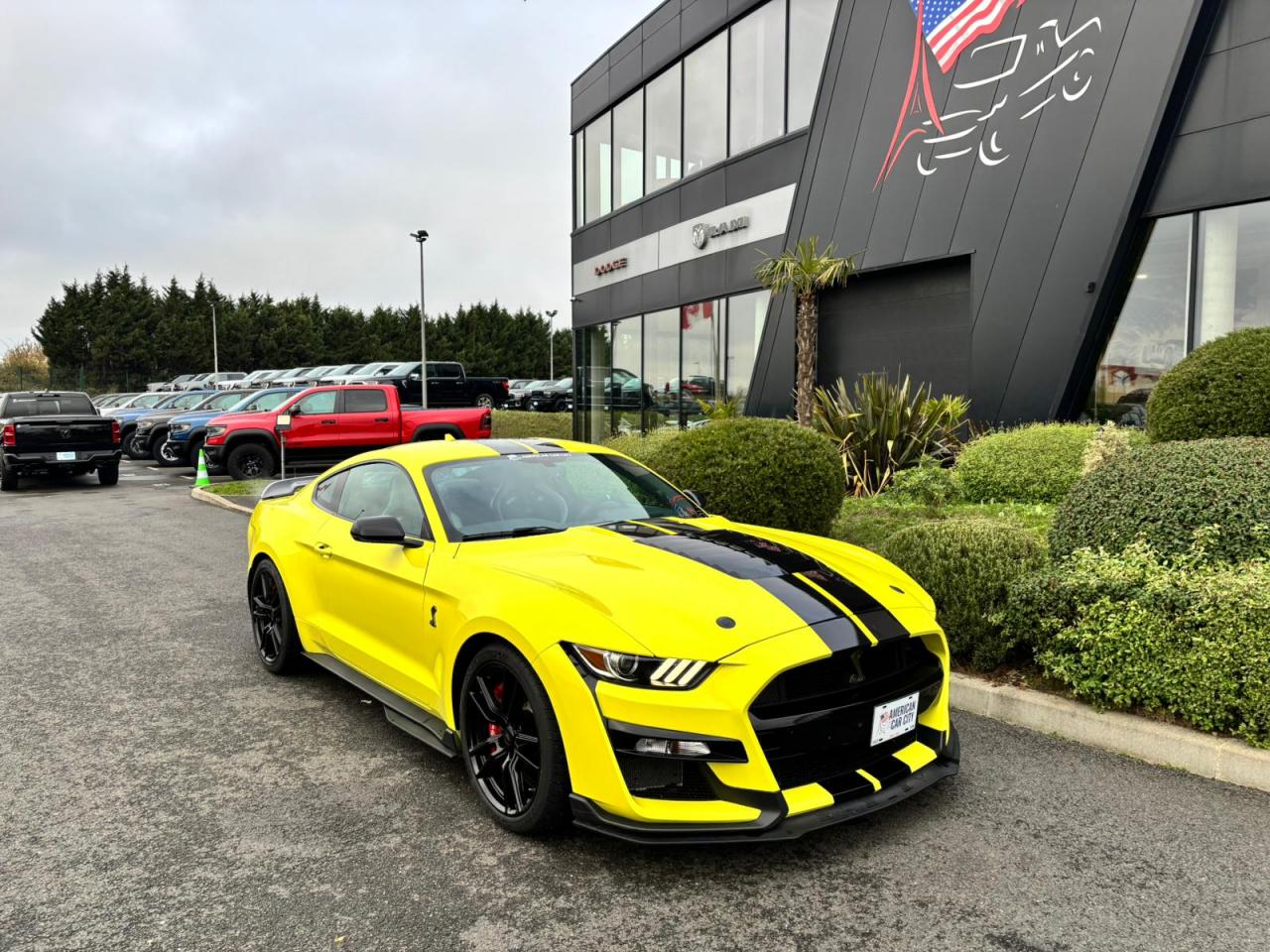 FORD MUSTANG Shelby GT500 V8 5.2L 760ch