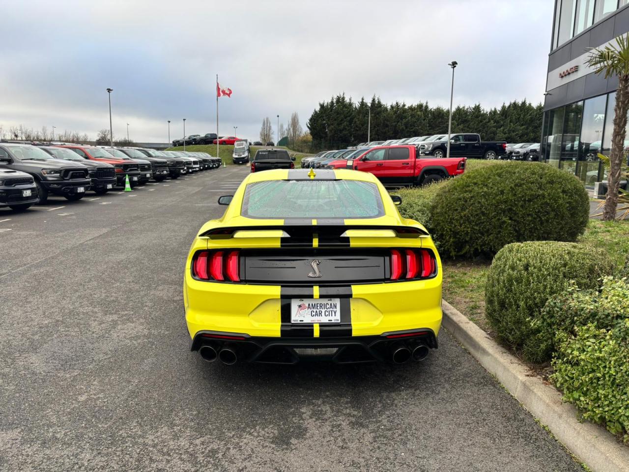 FORD MUSTANG Shelby GT500 V8 5.2L 760ch