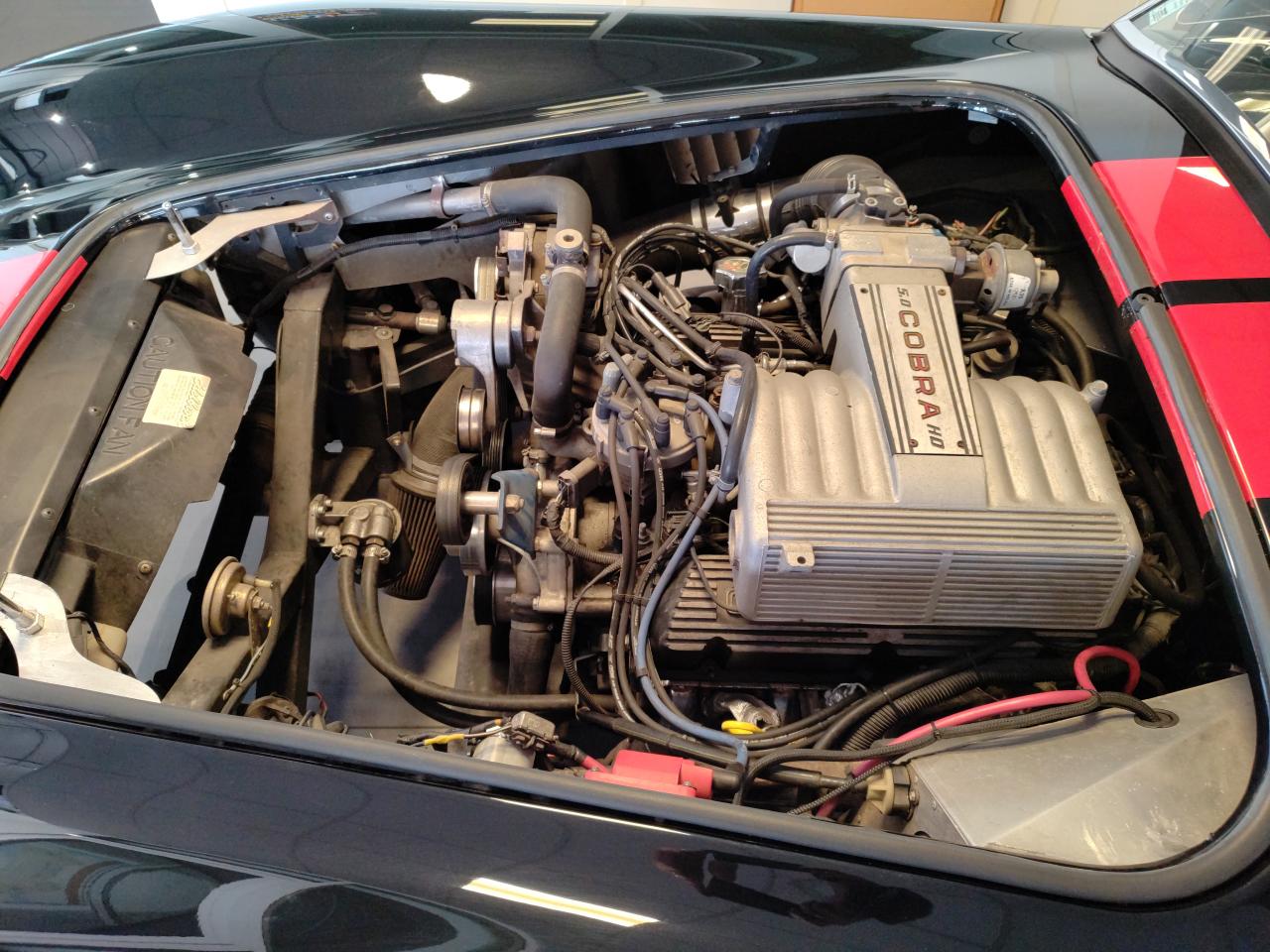 FORD AC COBRA REPLICA V8 302