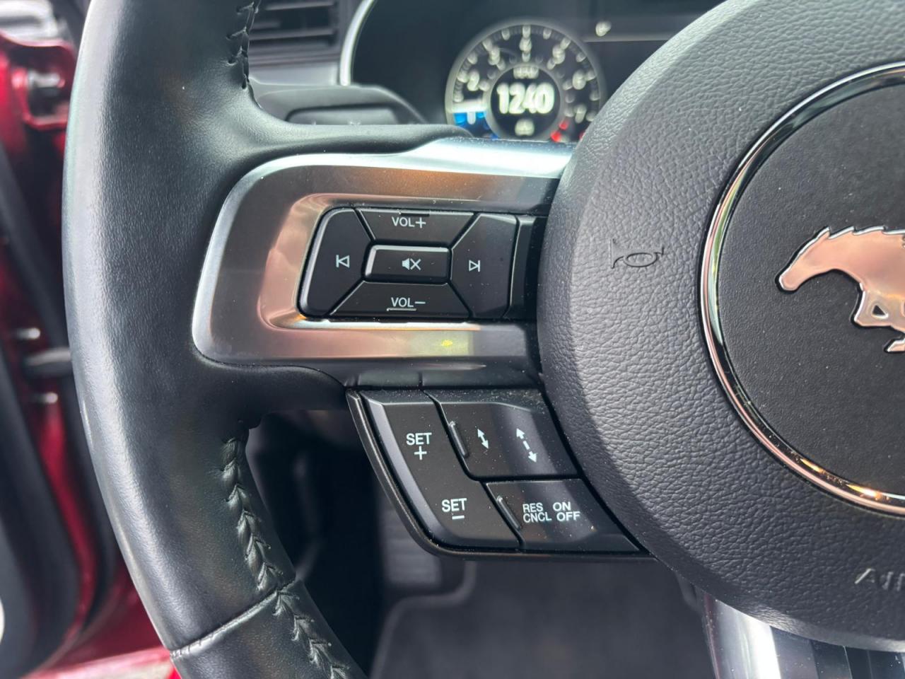 FORD MUSTANG GT Fastback V8 5.0L - Pas de malus