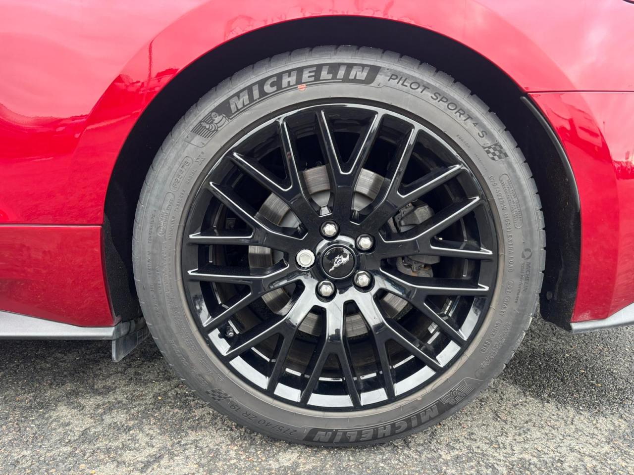 FORD MUSTANG GT Fastback V8 5.0L - Pas de malus