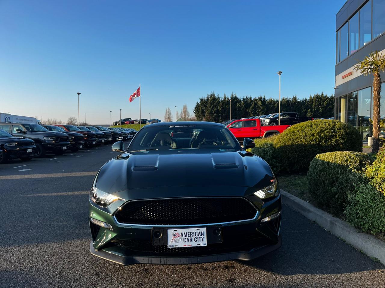FORD MUSTANG BULLITT V8 5.0L