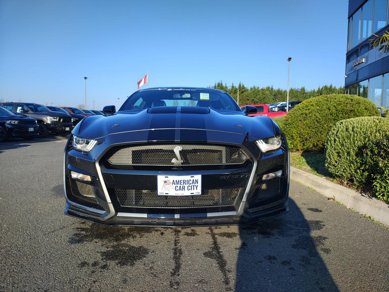 FORD MUSTANG Shelby GT500 V8 5.2L 760ch