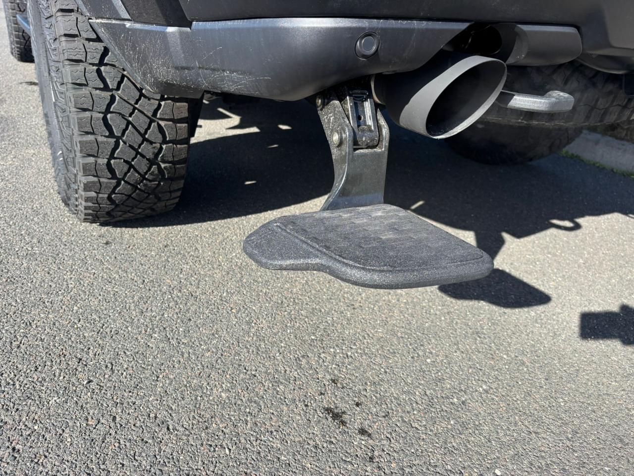 DODGE RAM RHO