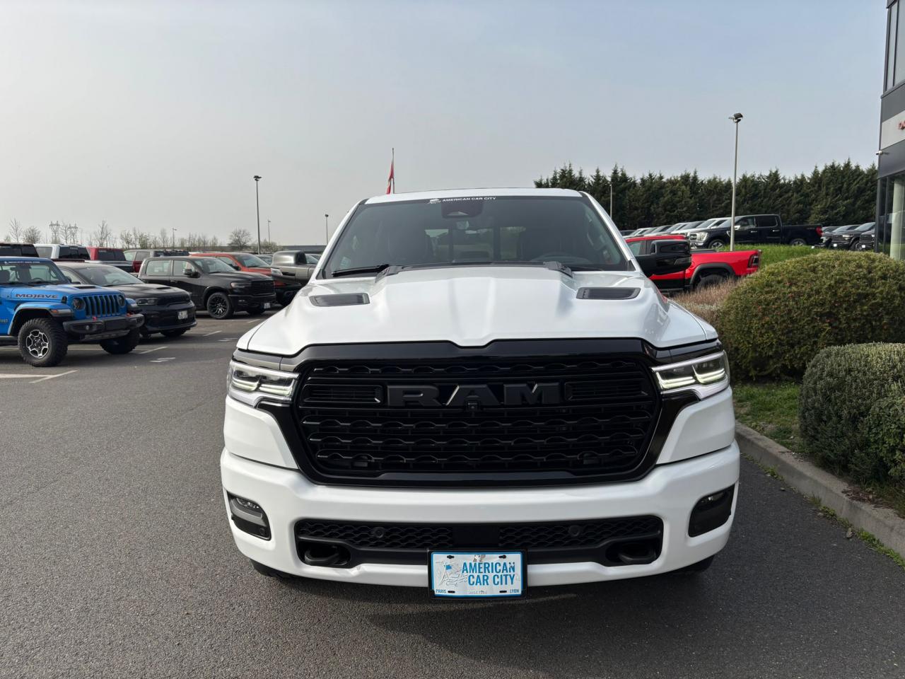 DODGE RAM 1500 CREW LIMITED NIGHT EDITION AIR RAMBOX