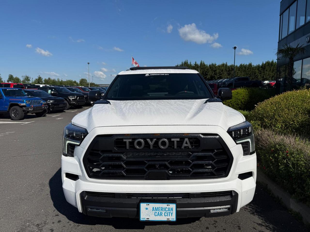 TOYOTA SEQUOIA TRD PRO HYBRID