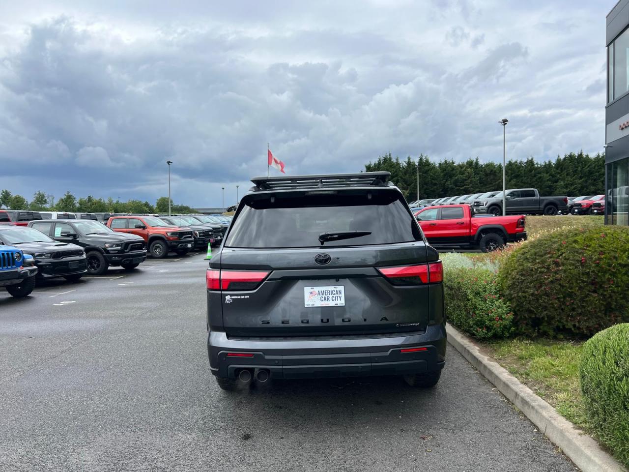 TOYOTA SEQUOIA TRD PRO HYBRID