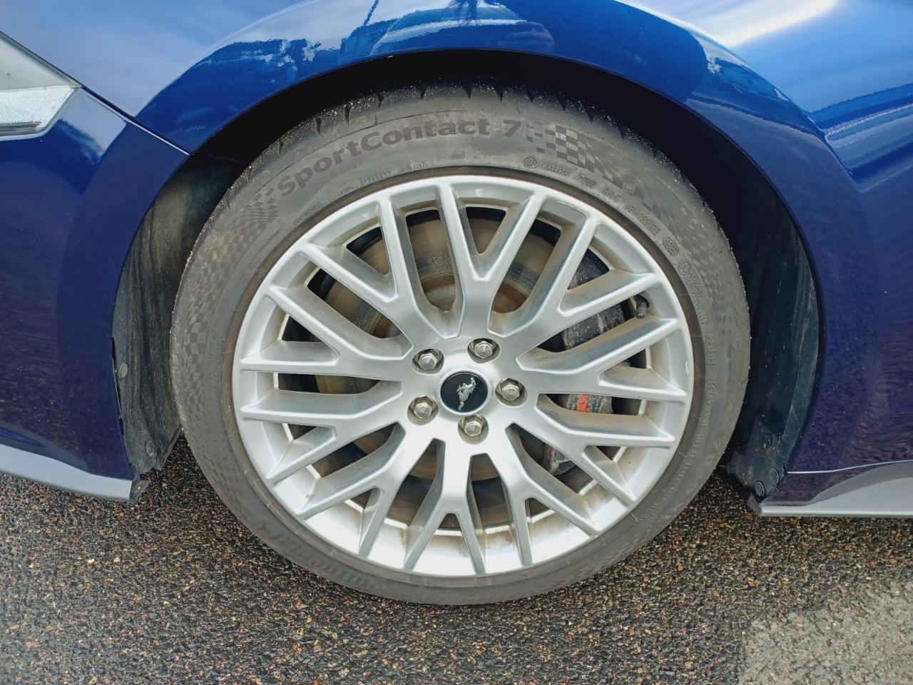 FORD MUSTANG GT FASTBACK 5.0L V8 450ch Magneride - Pas de malus