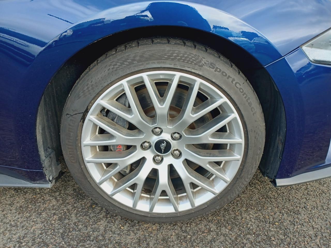 FORD MUSTANG GT FASTBACK 5.0L V8 450ch Magneride - Pas de malus