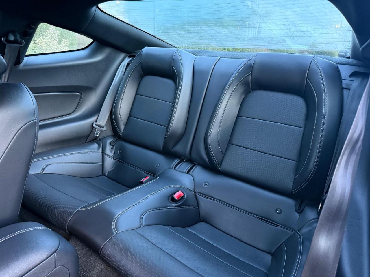 FORD MUSTANG GT V8 5.0L BVM - MALUS PAYE