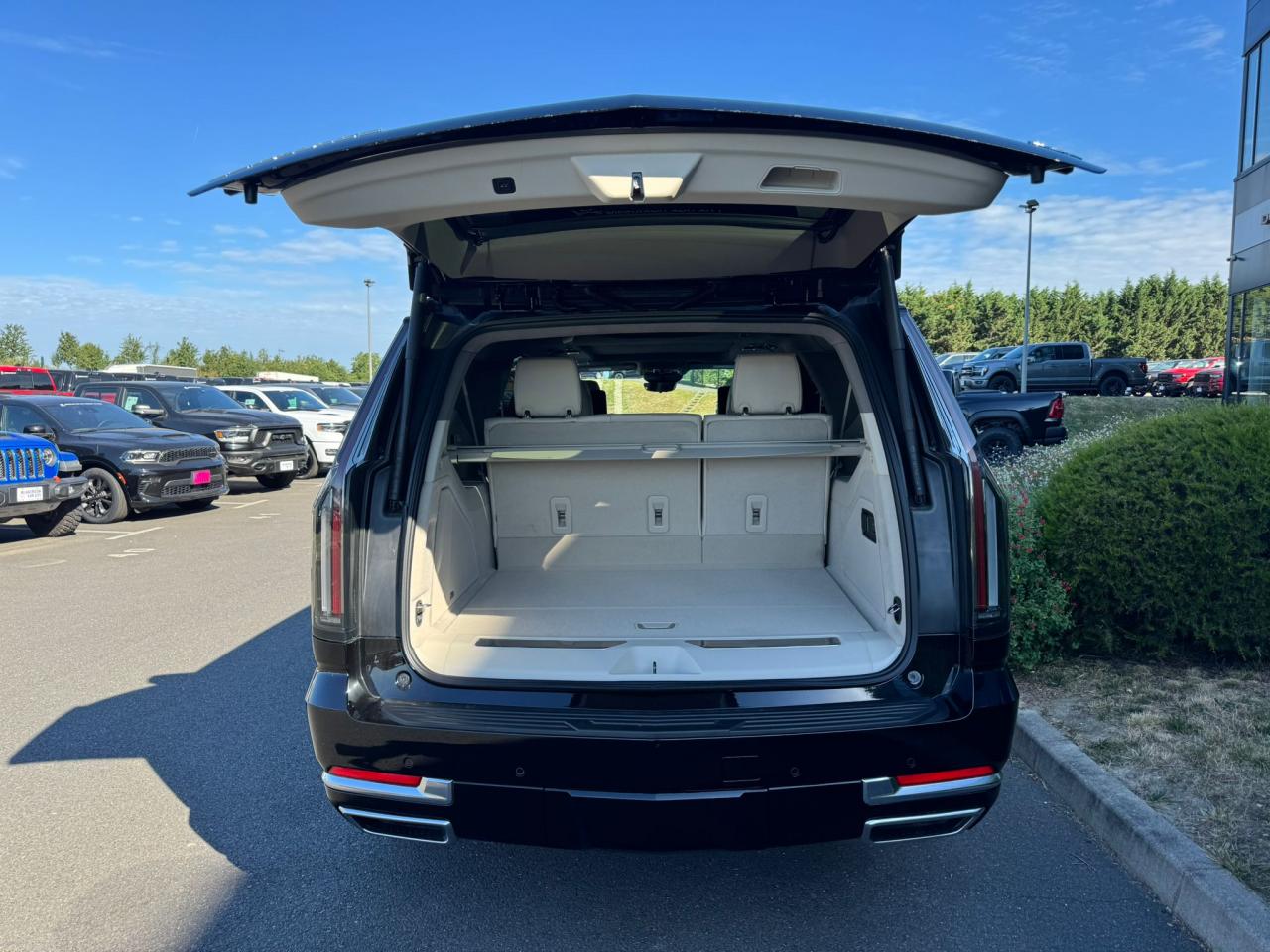 CADILLAC ESCALADE ESV Platinum Luxury V8 6.2L