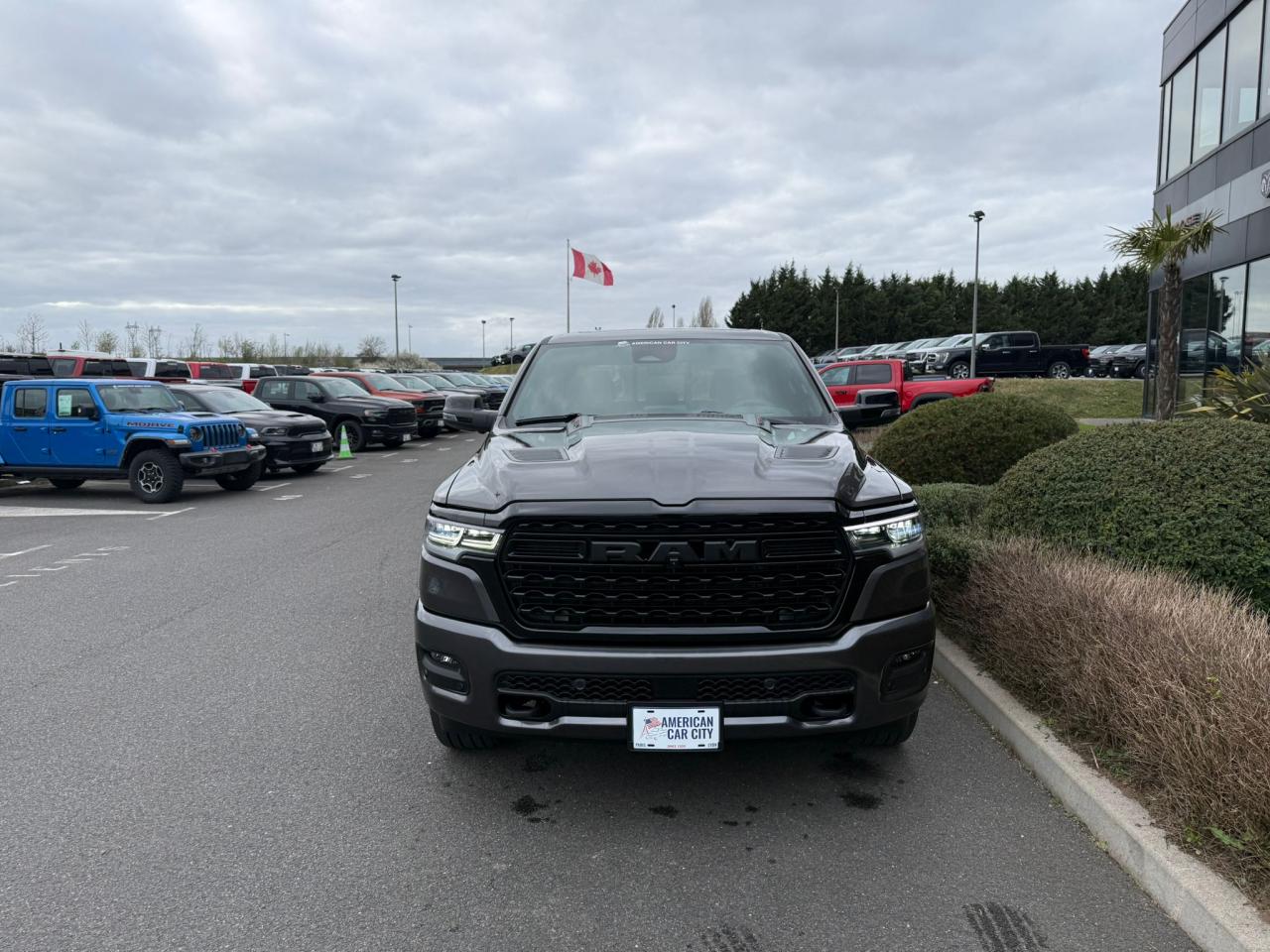 DODGE RAM 1500 CREW LIMITED NIGHT EDITION RAMBOX