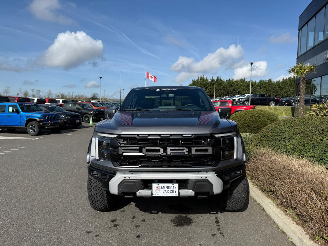 FORD F150 RAPTOR PACK 37