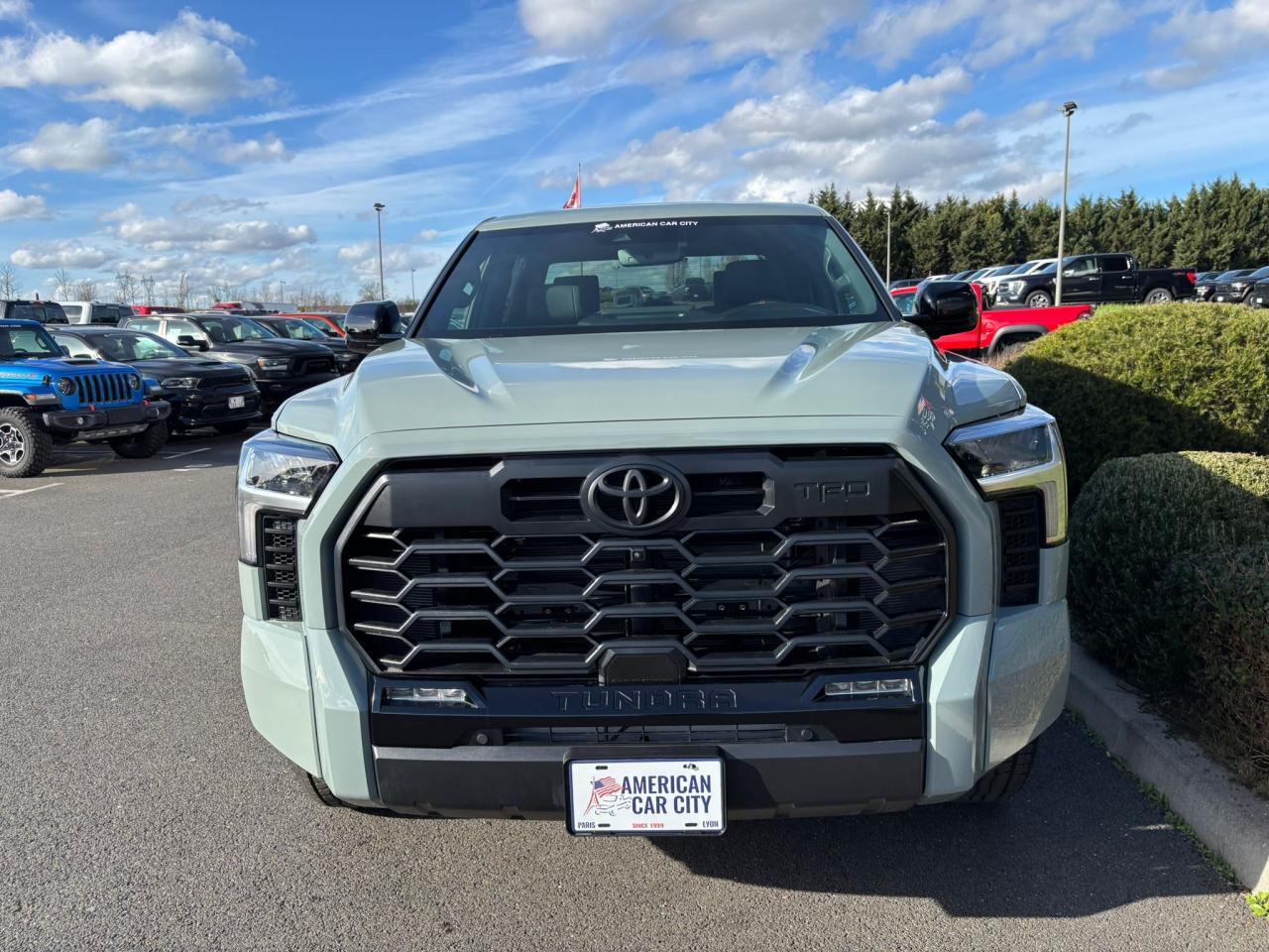 TOYOTA TUNDRA CREWMAX LIMITED TRD OFF ROAD