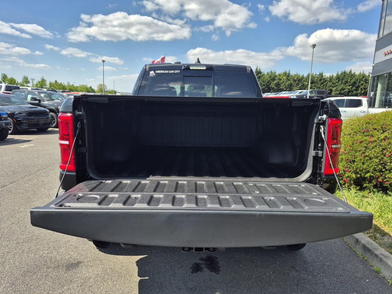 DODGE RAM 1500 CREW CAB RHO