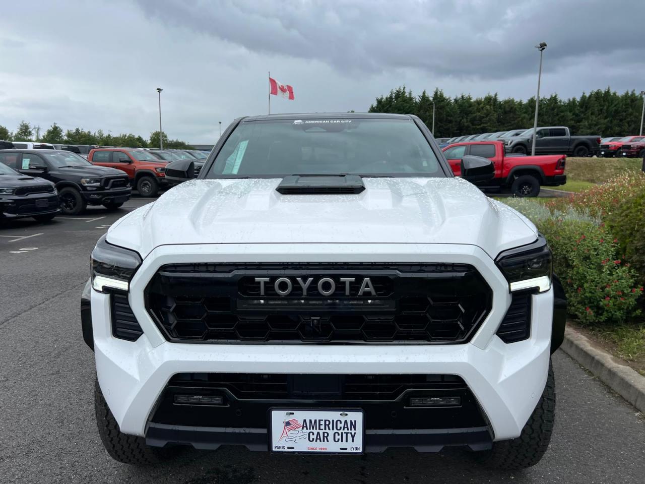 TOYOTA TACOMA TRD PRO I-FORCE MAX 2.4L 4-Cyl. Turbo Hybrid
