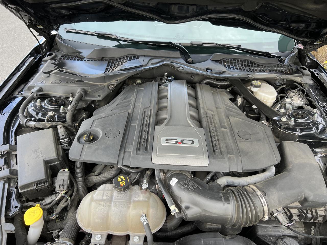 FORD MUSTANG GT V8 5.0L BVA10