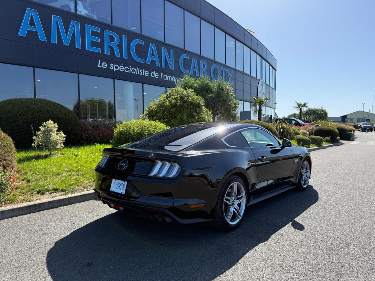 FORD MUSTANG GT V8 5.0L BVA10