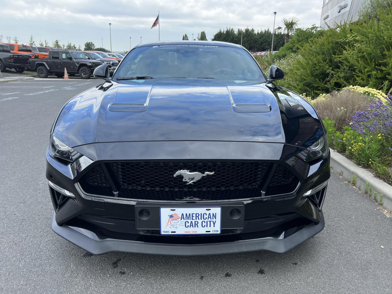 FORD MUSTANG GT V8 5.0L BVA10