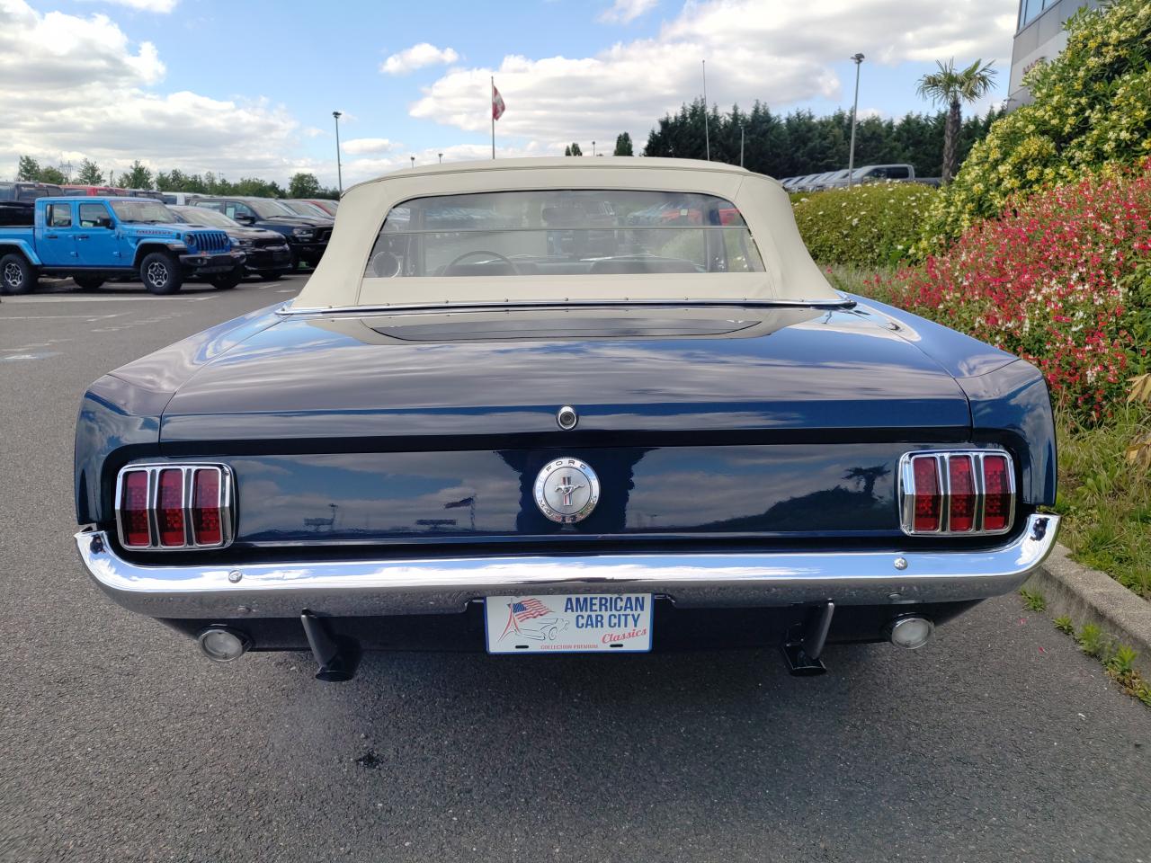 FORD MUSTANG cabriolet 289 boite manuelle 4, int Pony