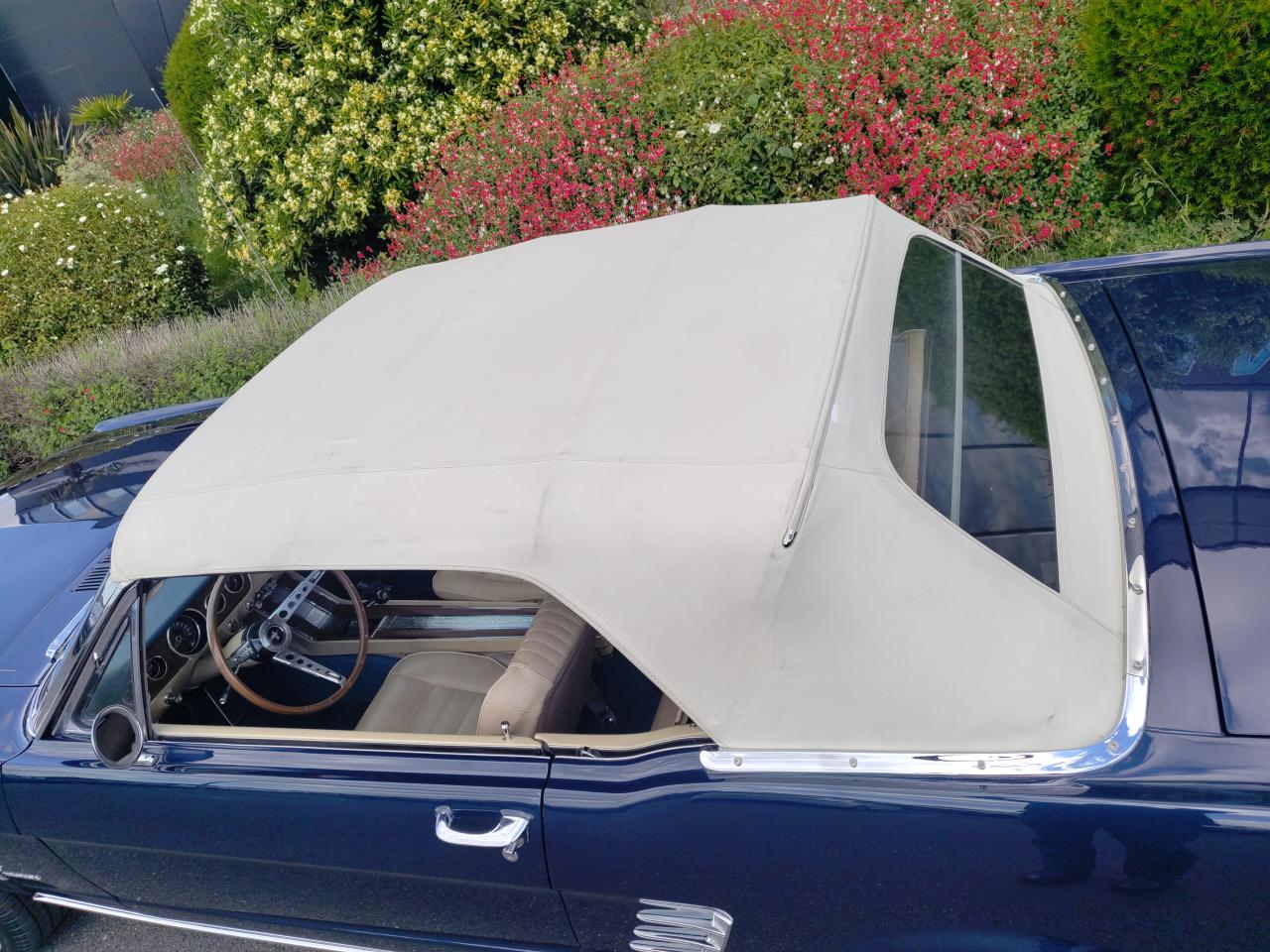 FORD MUSTANG cabriolet 289 boite manuelle 4, int Pony