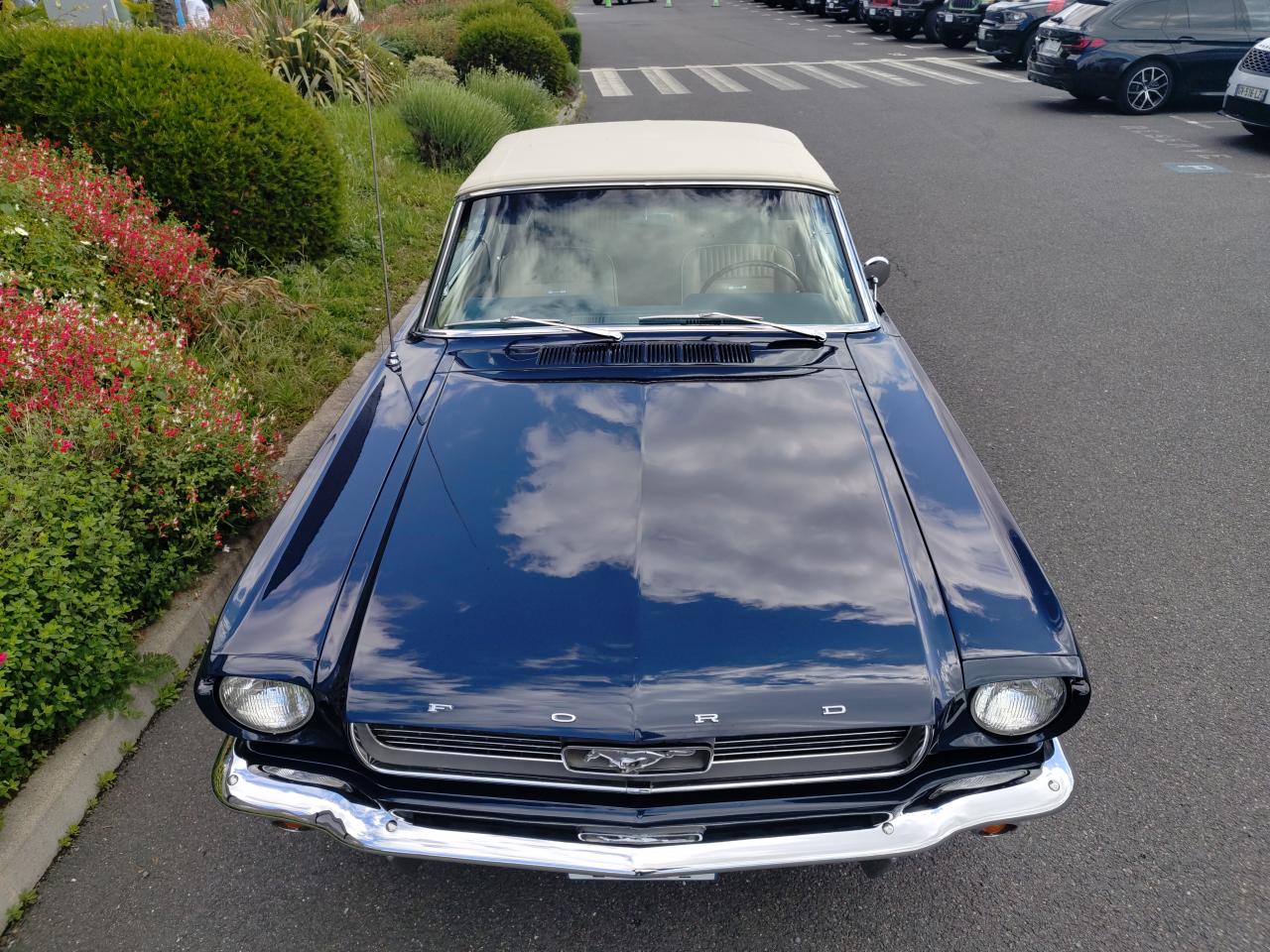 FORD MUSTANG cabriolet 289 boite manuelle 4, int Pony