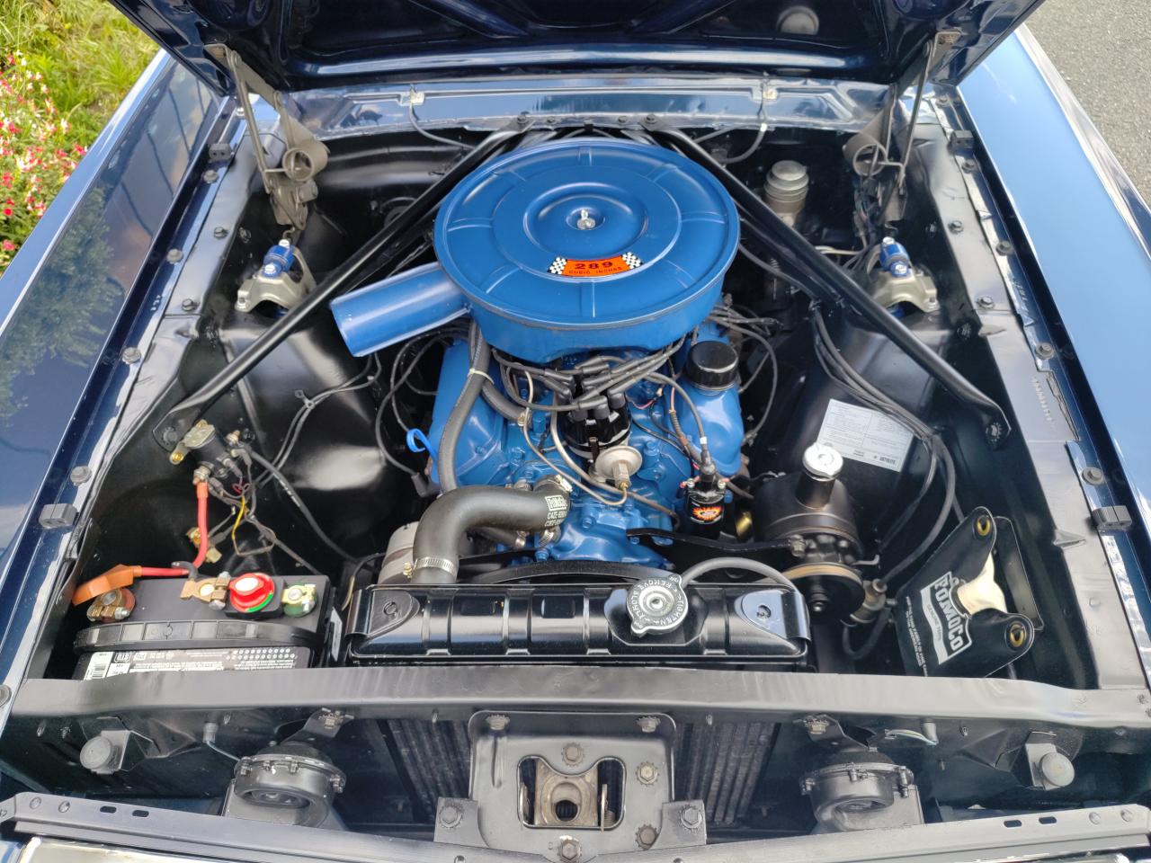 FORD MUSTANG cabriolet 289 boite manuelle 4, int Pony