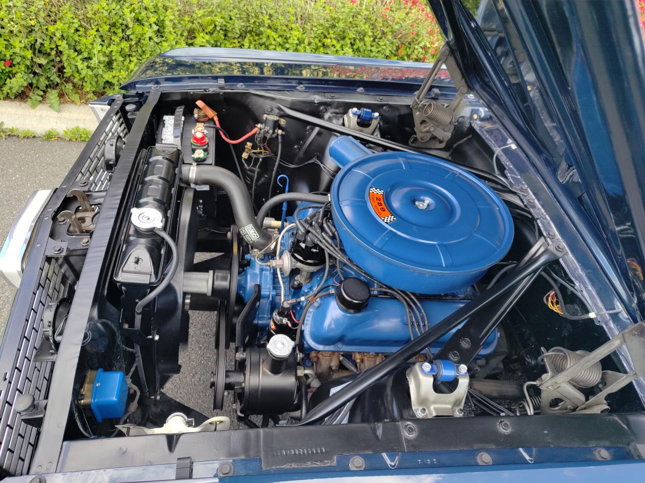 FORD MUSTANG cabriolet 289 boite manuelle 4, int Pony