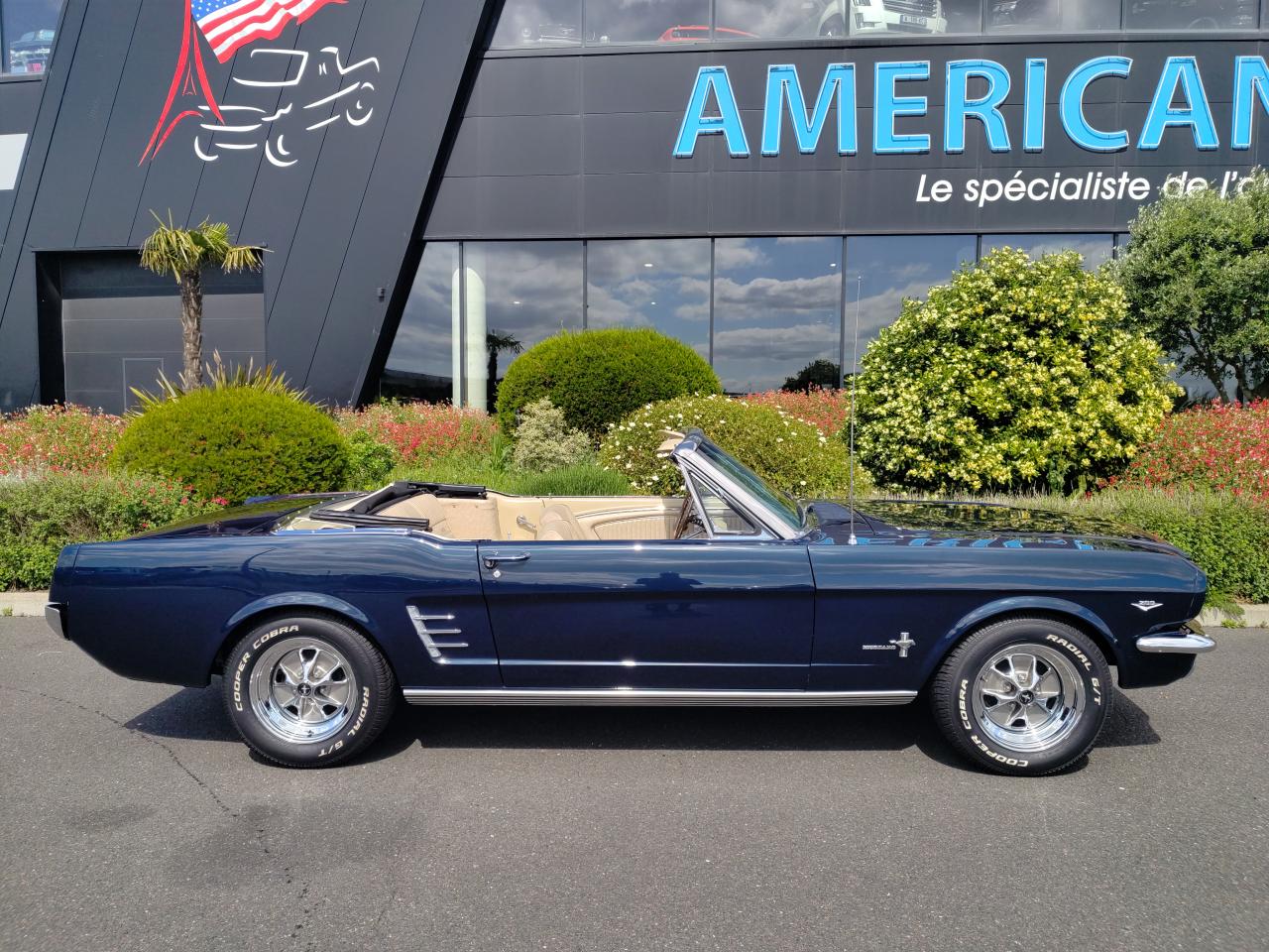 FORD MUSTANG cabriolet 289 boite manuelle 4, int Pony