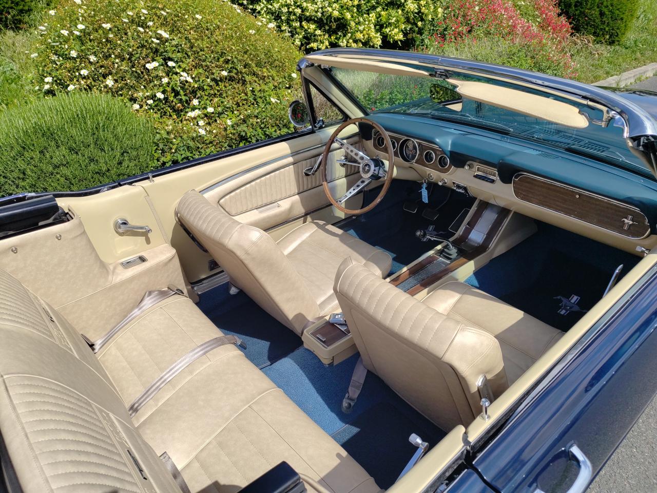 FORD MUSTANG cabriolet 289 boite manuelle 4, int Pony