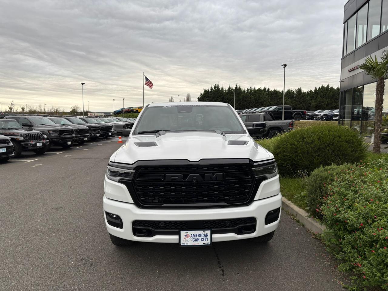 DODGE RAM 1500 CREW LIMITED NIGHT EDITION RAMBOX