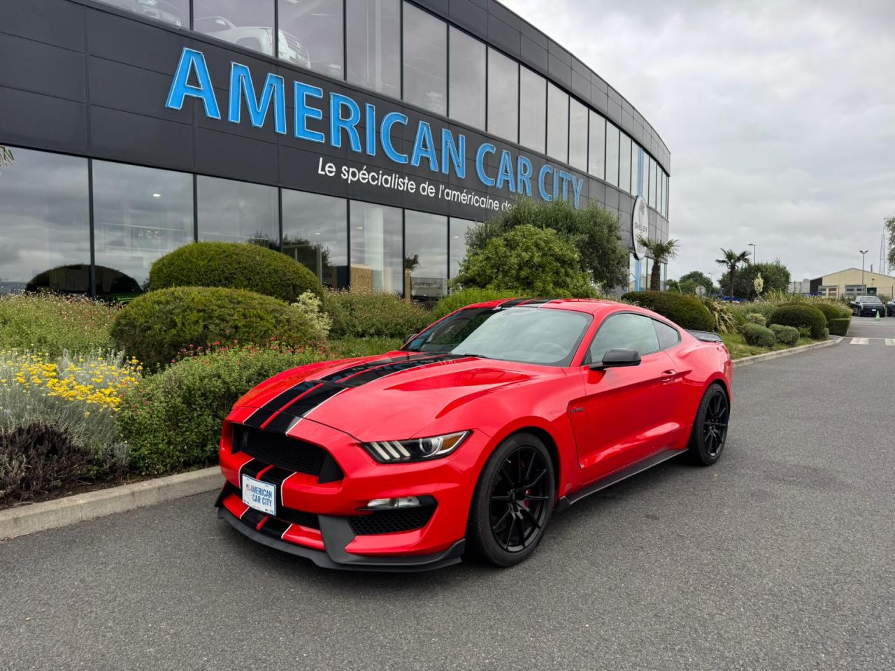 FORD MUSTANG