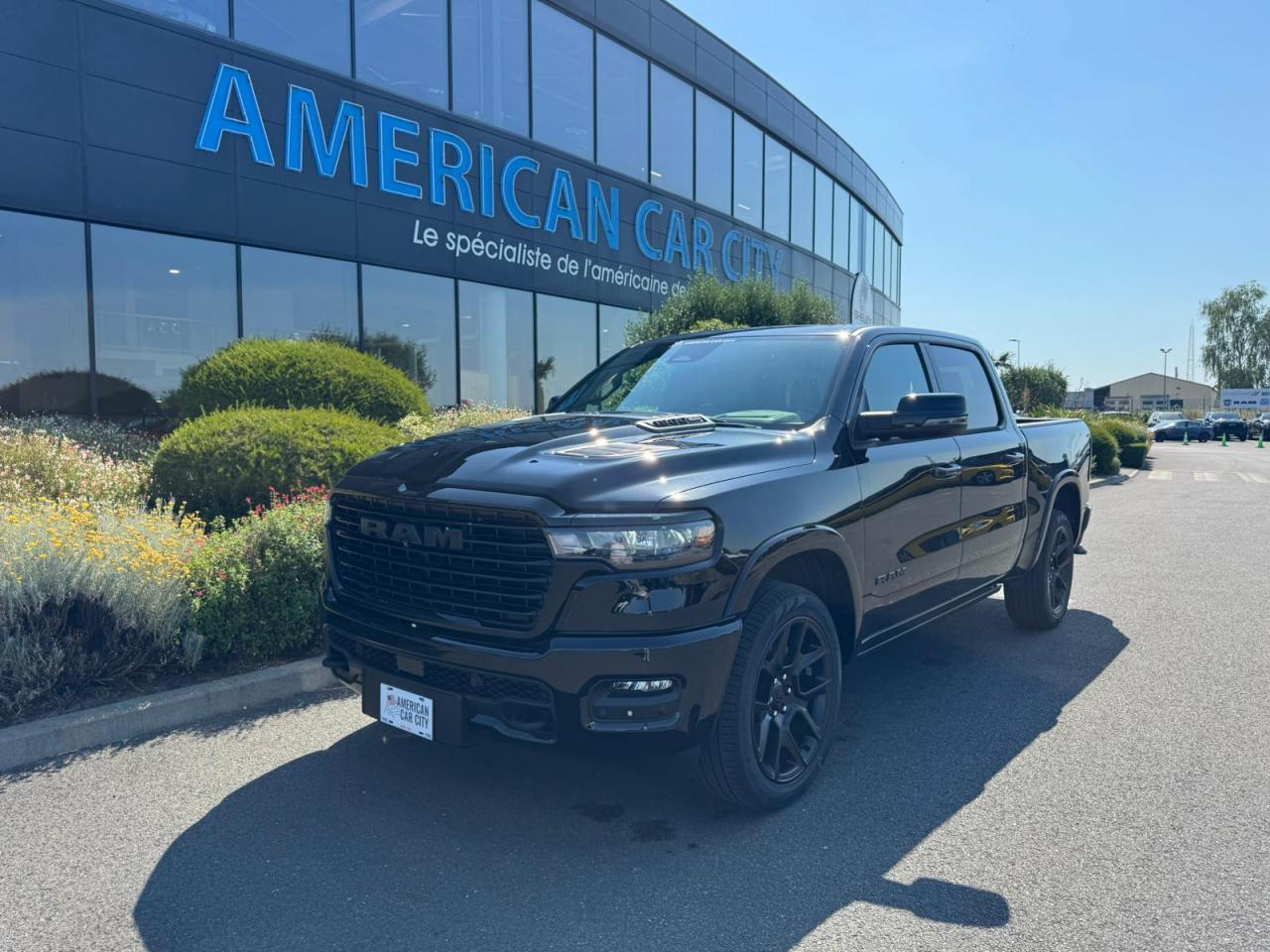 DODGE RAM