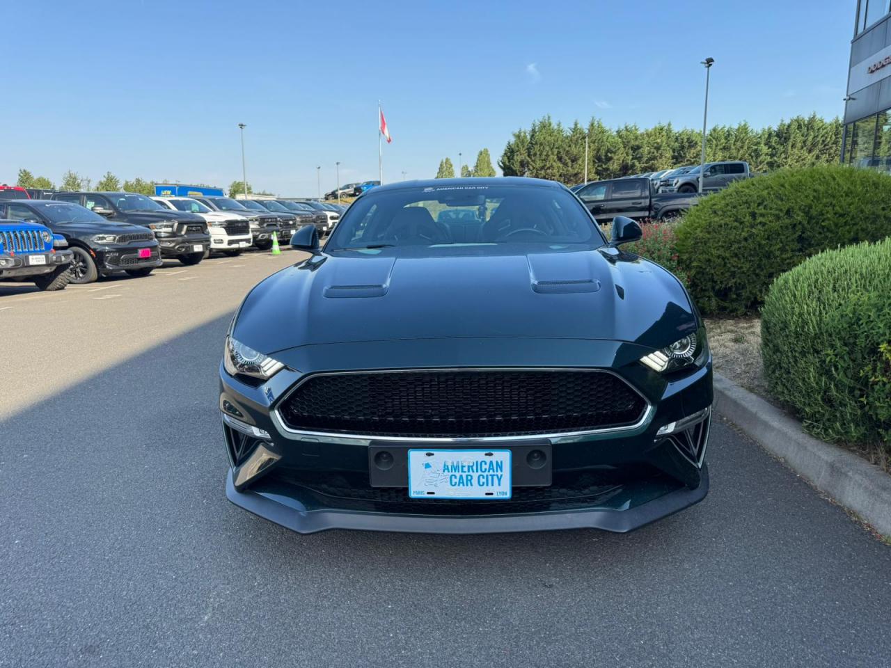 FORD MUSTANG Fastback 5.0 V8 - BULLITT - MAGNERIDE
