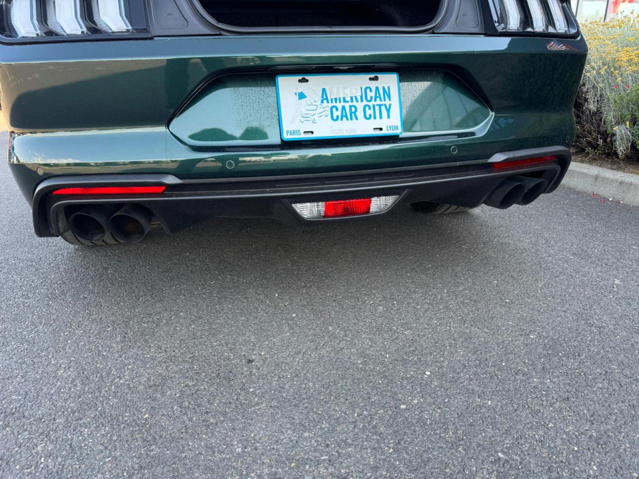 FORD MUSTANG Fastback 5.0 V8 - BULLITT - MAGNERIDE