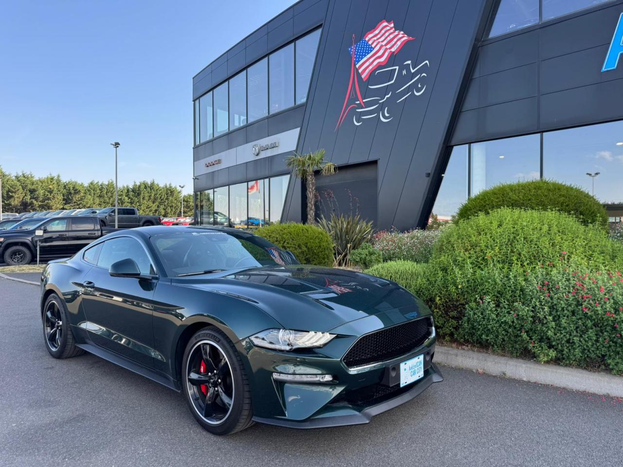 FORD MUSTANG Fastback 5.0 V8 - BULLITT - MAGNERIDE