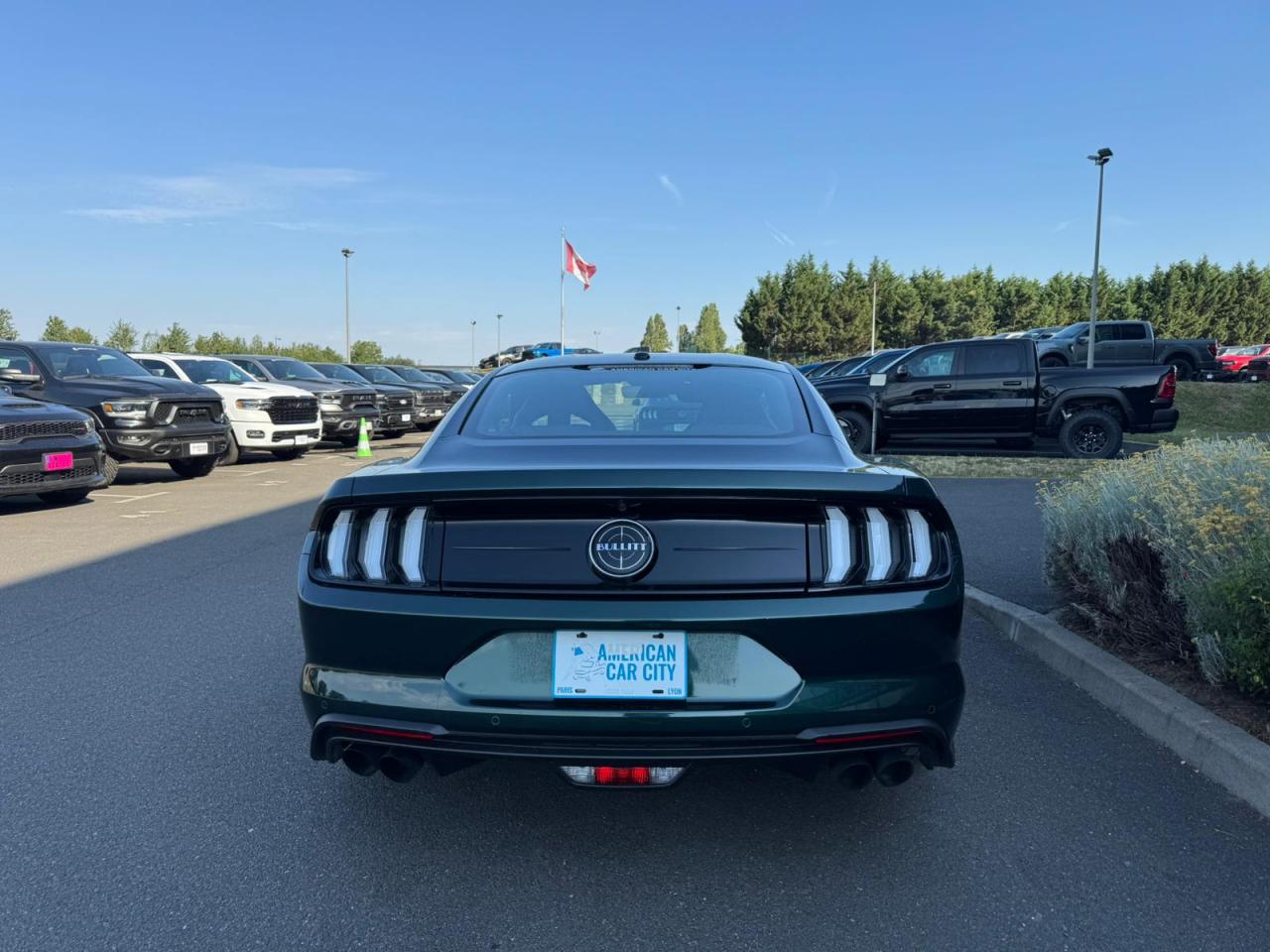 FORD MUSTANG Fastback 5.0 V8 - BULLITT - MAGNERIDE