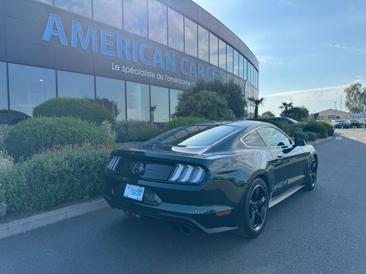 FORD MUSTANG Fastback 5.0 V8 - BULLITT - MAGNERIDE