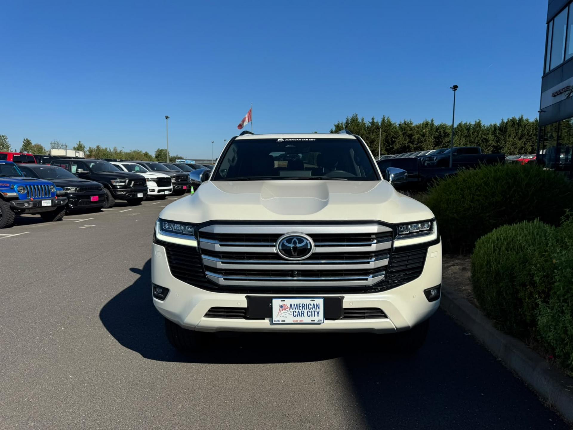 TOYOTA LAND CRUISER LC300 VX V6 3.3L