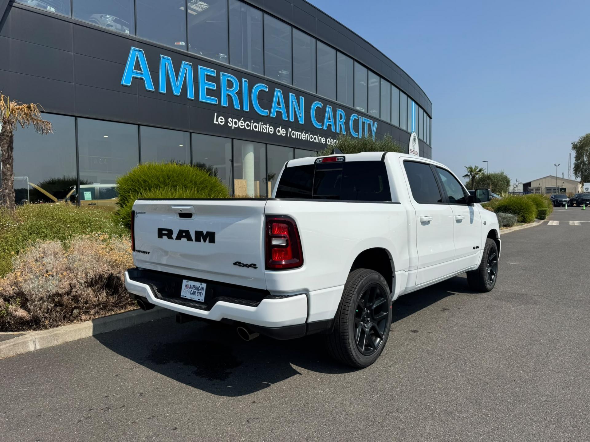 DODGE RAM 1500 CREW CAB SPORT NIGHT EDITION V8