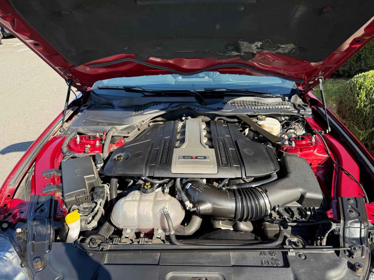 FORD MUSTANG GT FASTBACK V8 5.0L