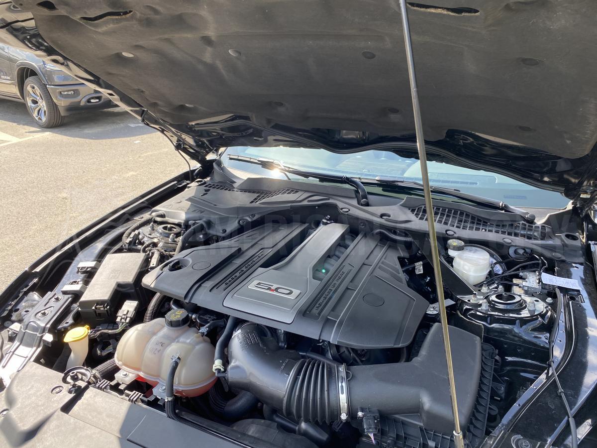 FORD MUSTANG GT FASTBACK 5.0L V8 BVM CARBON PACK - PAS DE MALUS