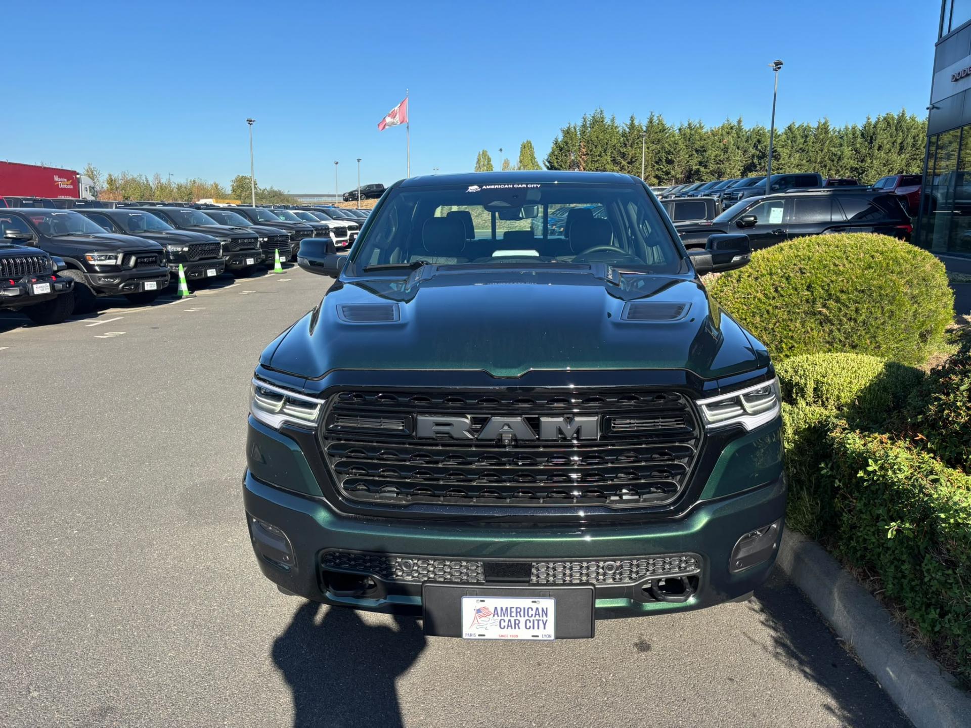 Thumbnail 10