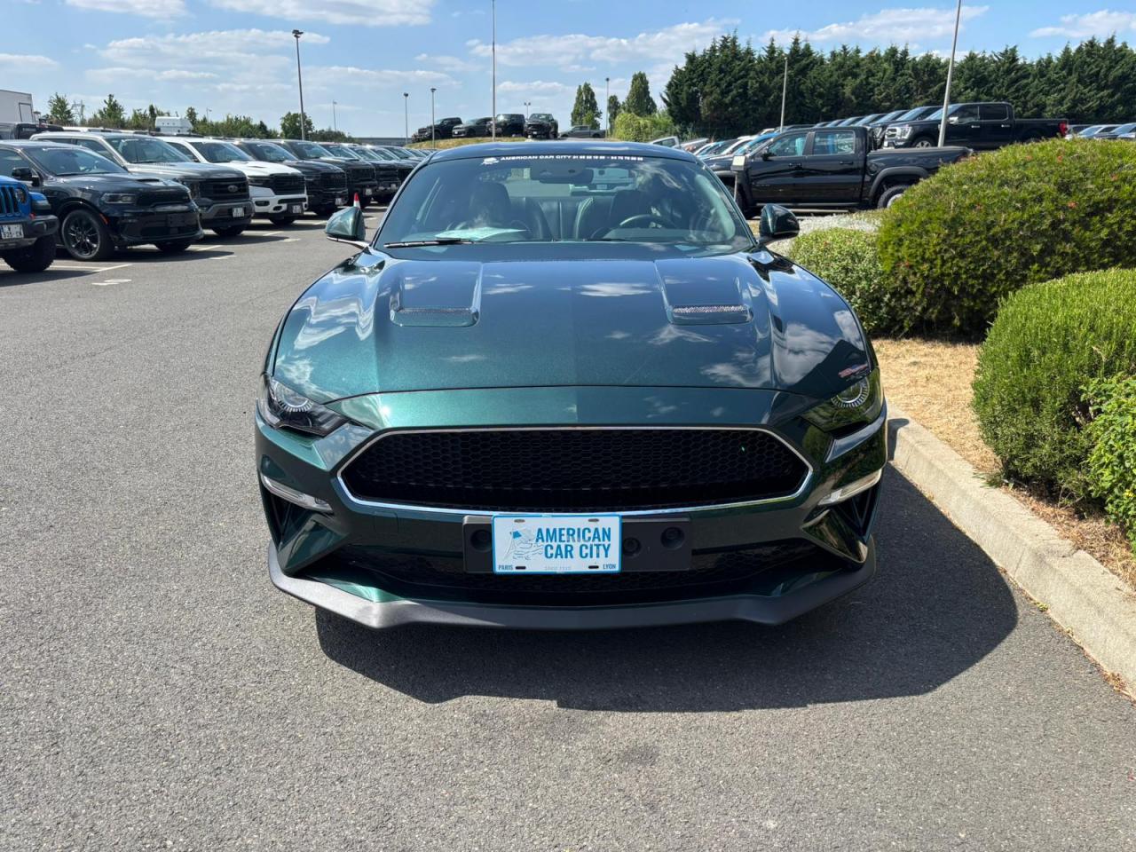 FORD MUSTANG BULLITT - MAGNERIDE