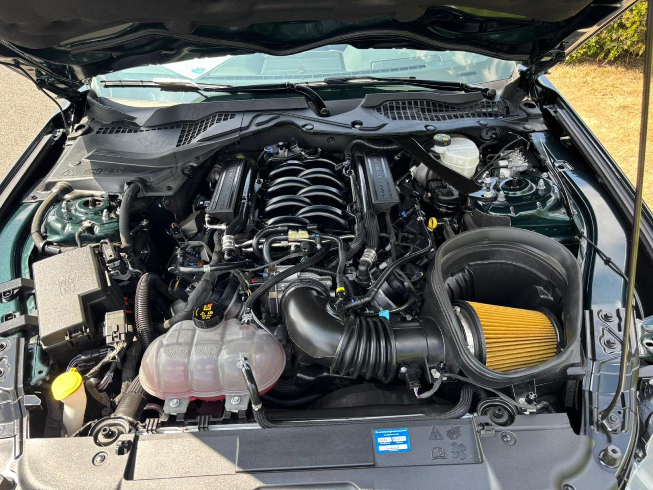 FORD MUSTANG BULLITT - MAGNERIDE