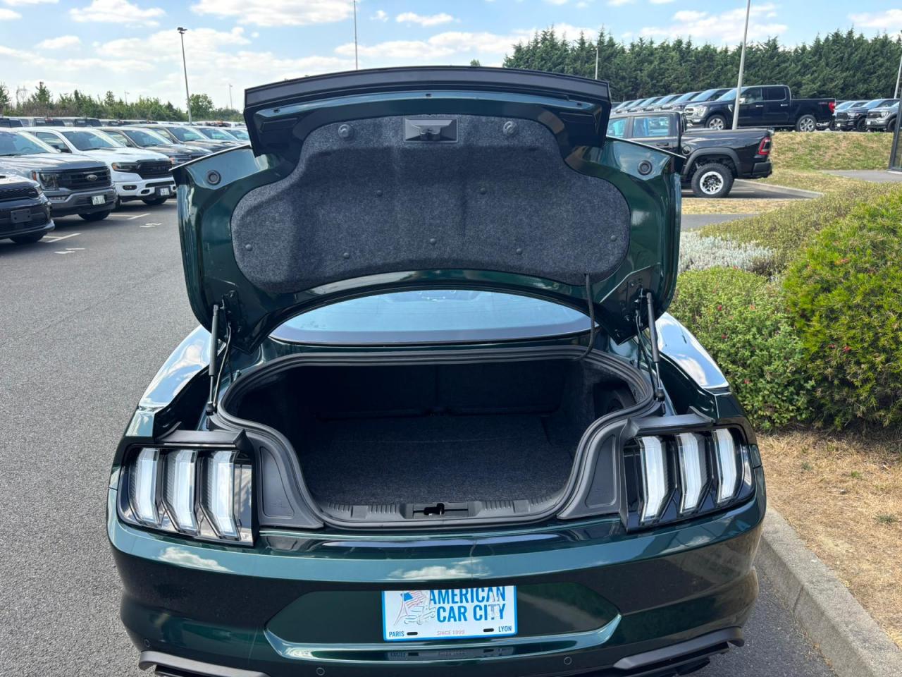 FORD MUSTANG BULLITT - MAGNERIDE